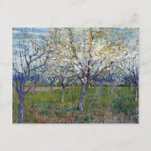 Postal Vincent van Gogh The Pink Orchard