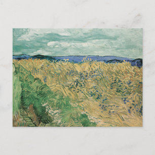 Postal Vincent Van Gogh, Wheatfield Con Cornflowers