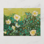 Postal Vincent Van Gogh Wild Rosas Bella Artes<br><div class="desc">Tarjeta postal del Bella Artes de Vincent Van Gogh Wild Rosas</div>