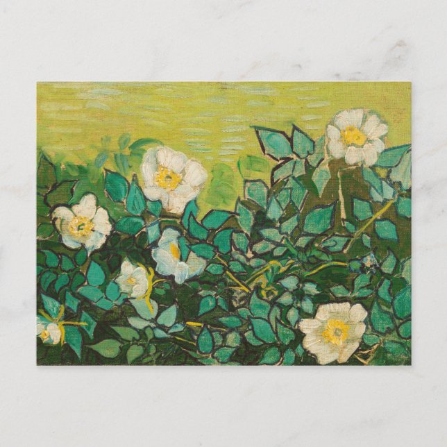 Postal Vincent Van Gogh Wild Rosas Bella Artes (Anverso)