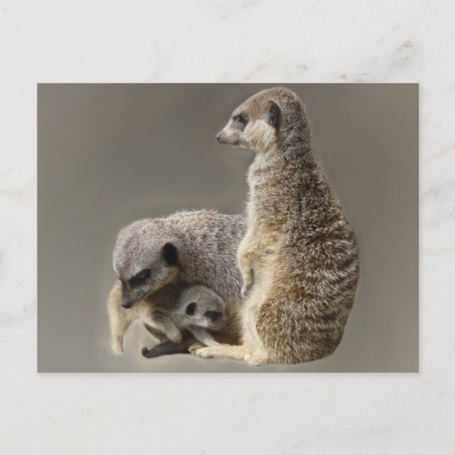 Postal Vínculos familiares (Anverso)