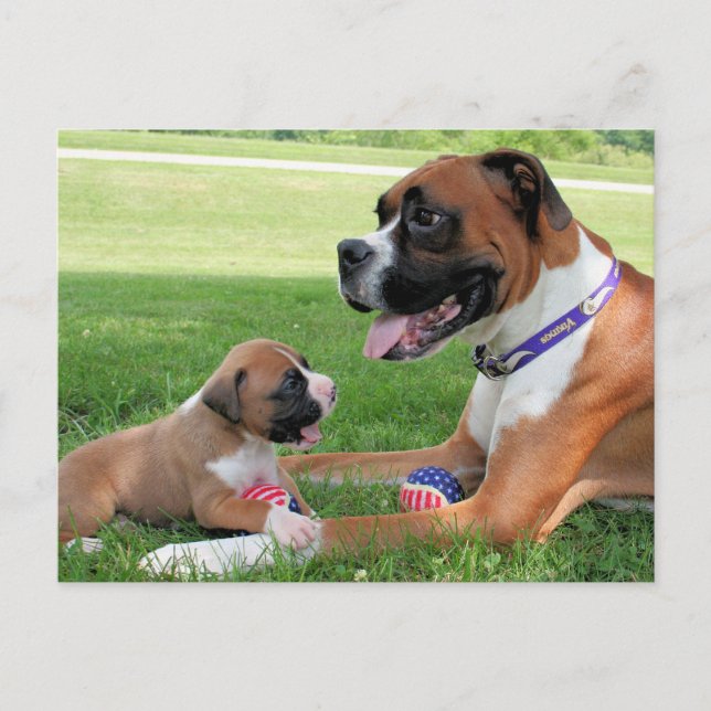 Postal Vindy y Pups - Foto 95 (Anverso)