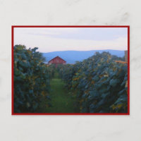 Viñedo