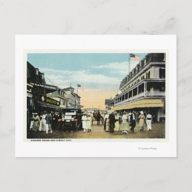 Postal Viñedo de Martha (Anverso)