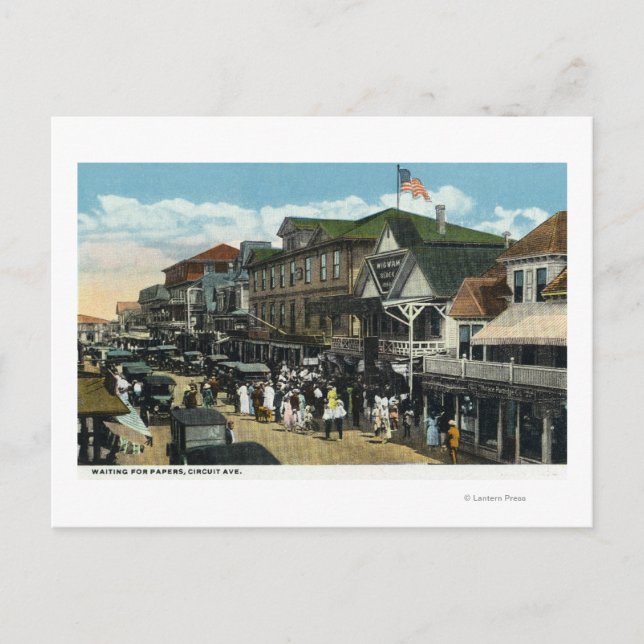 Postal Viñedo de Martha, escena de la avenida circuito (Anverso)