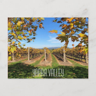 Postal viñedo de otoño de yarra valley