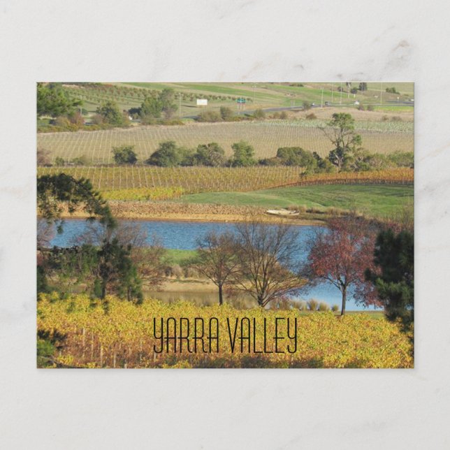 Postal viñedo de yarra valley (Anverso)