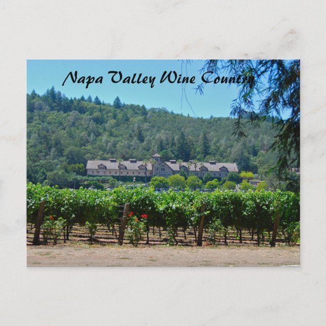 Postal Viñedo del país vinícola de Napa Valley (Anverso)