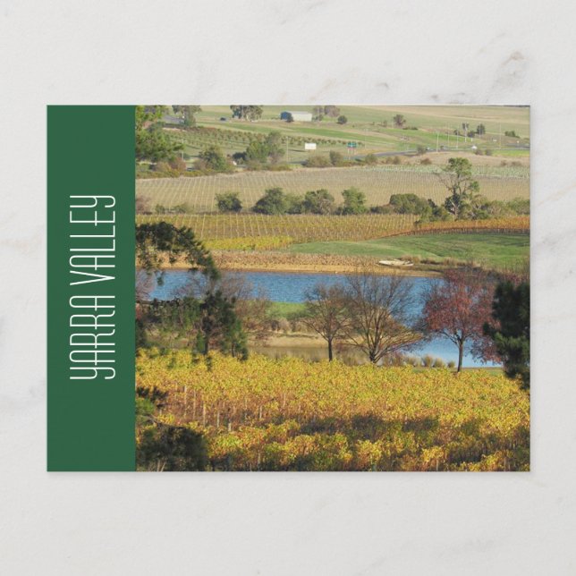 Postal viñedo del valle de yarra (Anverso)