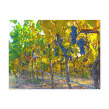 Viñedo en Napa Valley California