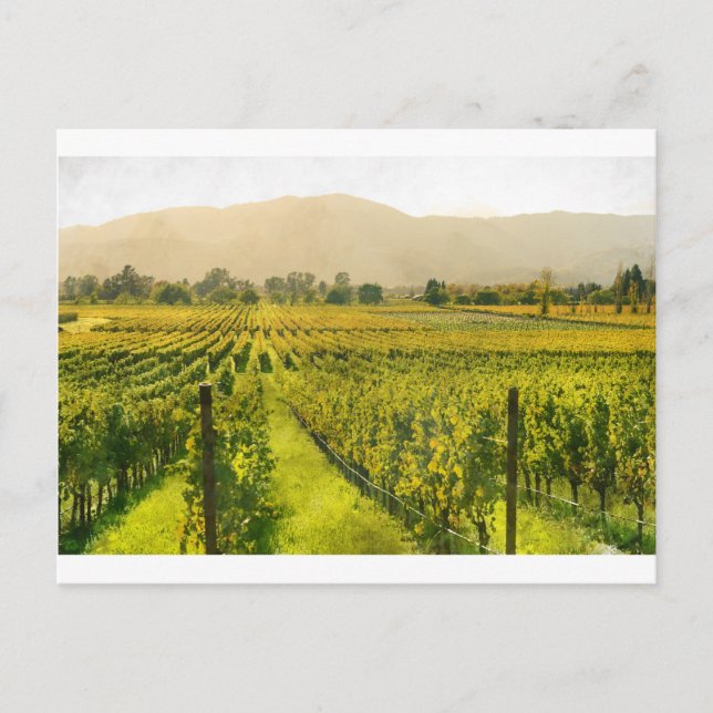 Postal Viñedo en otoño en Napa Valley, California (Anverso)