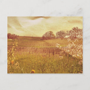Postal Viñedo Rústico en Napa Valley California