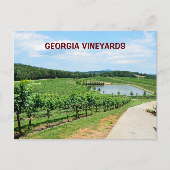 Postal Viñedos de Georgia, Estados Unidos (Anverso)