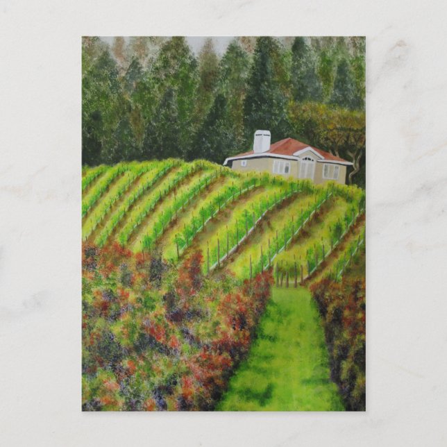 Postal Viñedos en Healdsburg, CA Watercolor Post Card (Anverso)