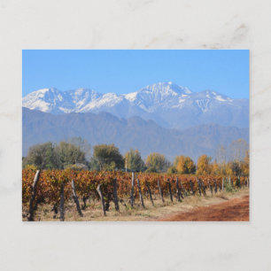 Postal Viñedos En La Caída De Mendoza, Argentina