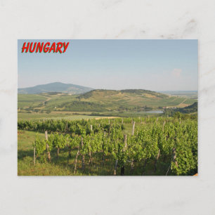 Postal Viñedos Tokaj, Hungría
