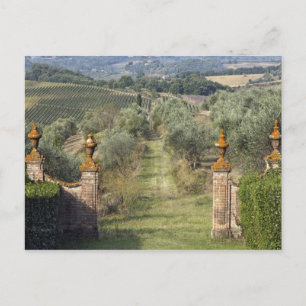 Postal Viñedos, Toscana, Italia
