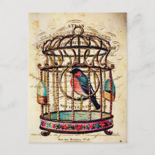 Postal Viñeta de Aves de Carne de Papel Francés Postcard