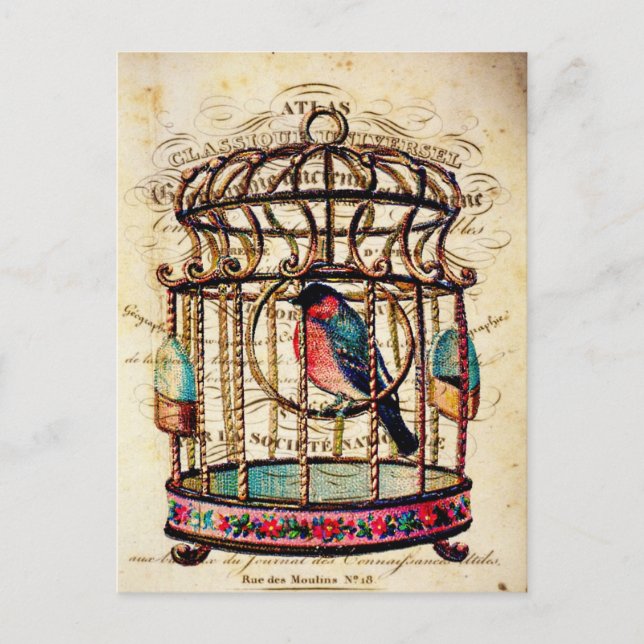 Postal Viñeta de Aves de Carne Francesa Postcard (Anverso)