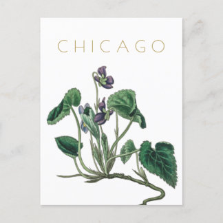 Postal Viñeta de Chicago a mediados de siglo