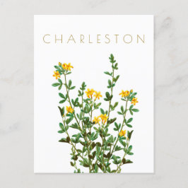 Postal Viñeta de flores Charleston a mediados de siglo