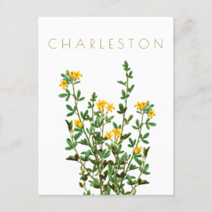 Postal Viñeta de flores Charleston a mediados de siglo