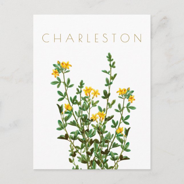 Postal Viñeta de flores Charleston a mediados de siglo (Anverso)