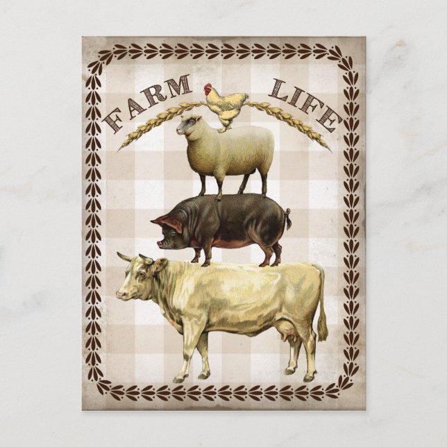 Postal Viñeta de la vida de la granja (Anverso)