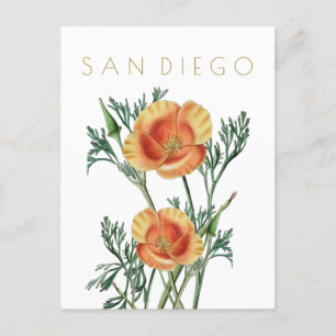 Postal Viñeta de San Diego a mediados de siglo