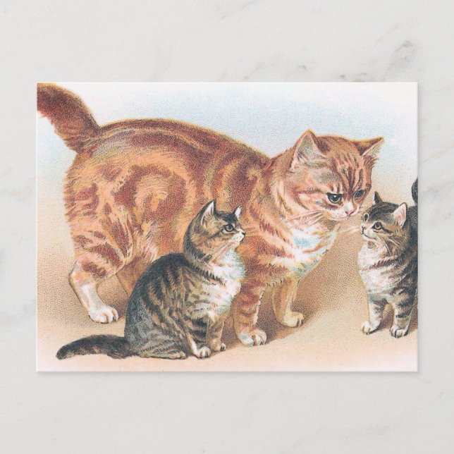 Postal Viñeta "Gato de mamá" (Anverso)