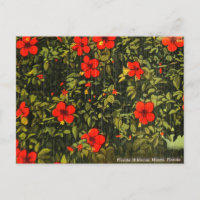 Viñeta Hibiscus, Miami, Florida