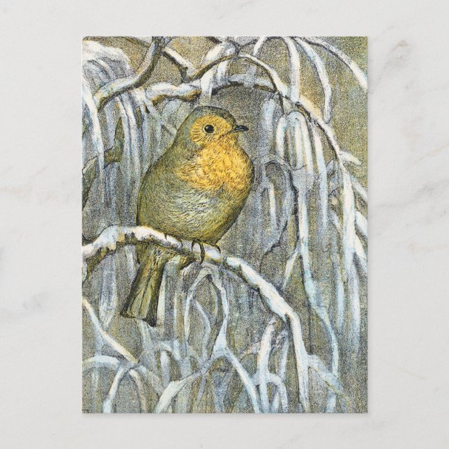Postal Viñeta Robin en una rama nevada (Anverso)