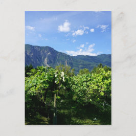 Postal Vineyard al sur de BC, Canadá
