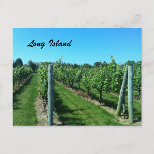 Postal Vineyard de Long Island