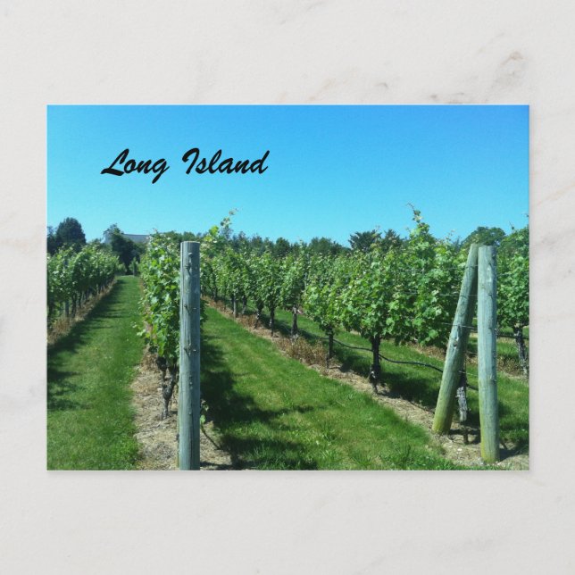 Postal Vineyard de Long Island (Anverso)