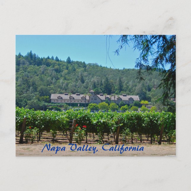 Postal Vineyard de Napa Valley California (Anverso)