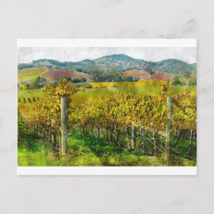 Postal Vineyard de Napa Valley California
