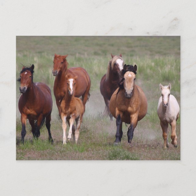 Postal Viniendo Contigo (Anverso)