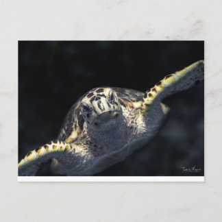 Postal "Viniendo Contigo"