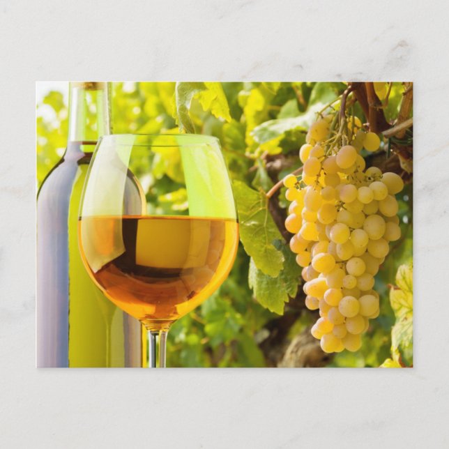 Postal Vino Blanco Y Uvas (Anverso)