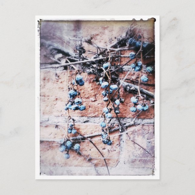 Postal Vino de invierno y Berries (Anverso)