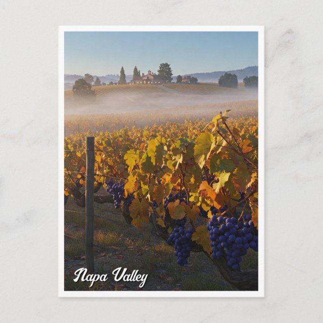 Postal Vino de Napa Valley California (Anverso)
