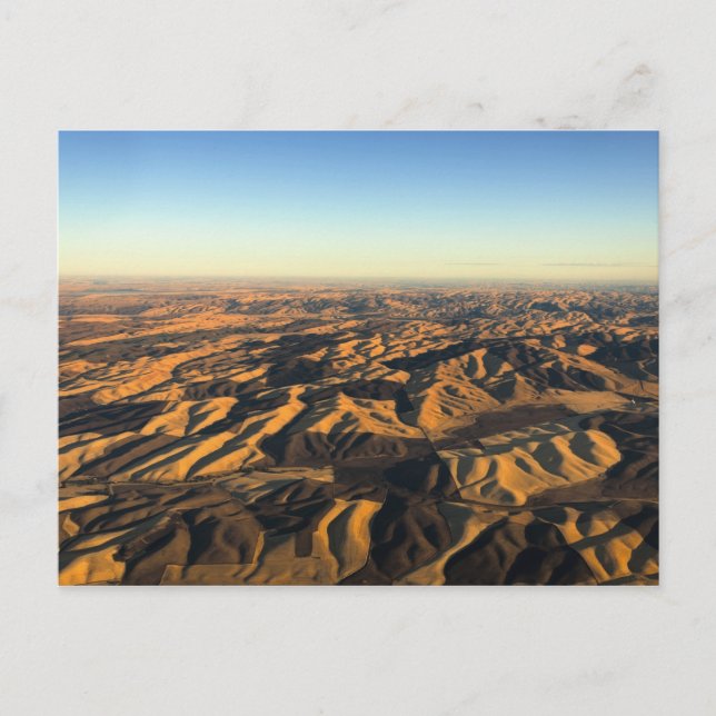 Postal Vino de Walla Walla en aloft (Anverso)