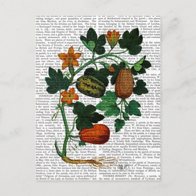 Postal Vino esquash 1 (Anverso)