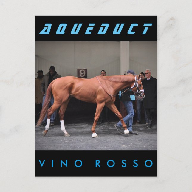 Postal Vino Rosso - Todd Pletcher (Anverso)