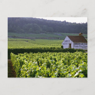 Postal Vinos Chambertin Clos de Beze Grand Cruz con