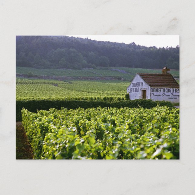 Postal Vinos Chambertin Clos de Beze Grand Cruz con (Anverso)