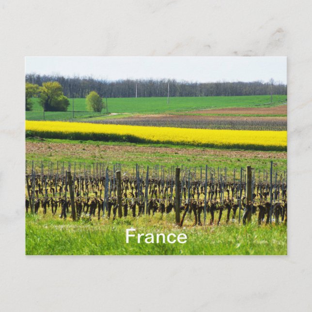 Postal Vinos y campos de Francia (Anverso)