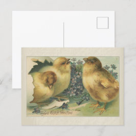 Postal Vintage 1898 Baby Chick Easter Greeting