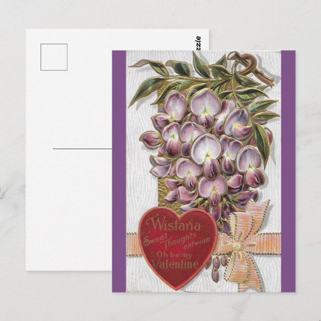 Postal Vintage 1912 Wistaria púrpura (Anverso / Reverso)